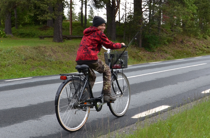 3-cyklar-fraan-vik-till-vik-i-jakten-paa-Storgaeddan.JPG