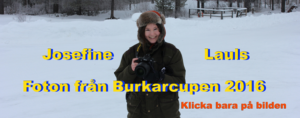 Proffsfotograf burk1.jpg